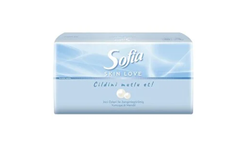 Sofia Skin Love Mendil 100 Yaprak